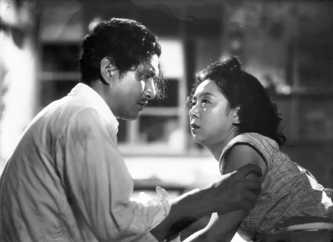 風中的母雞 4K修復-圖片